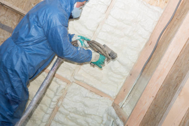 Best Thermal Imaging for Insulation Gaps  in Sunnyvale, TX