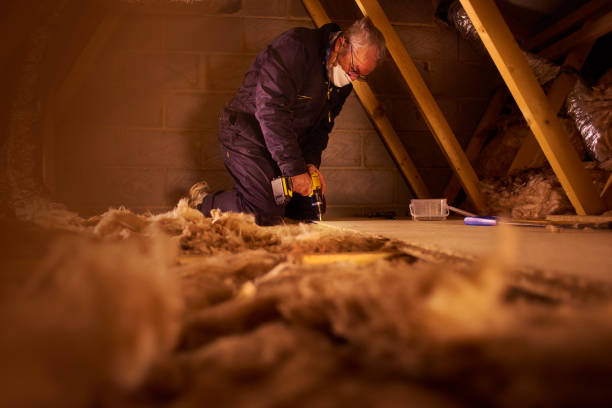 Types of Insulation We Offer in Sunnyvale, TX